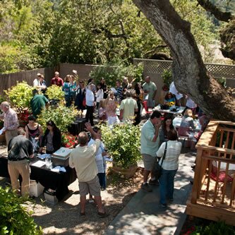patio1